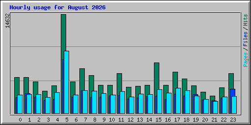 Hourly usage for August 2026