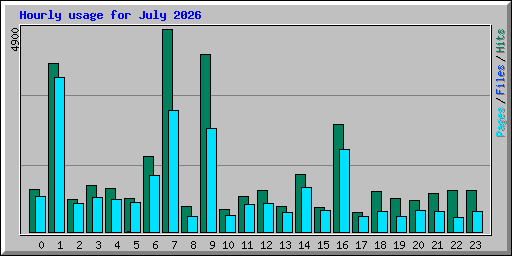 Hourly usage for July 2026